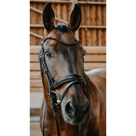 Norton Royal hoofdstel