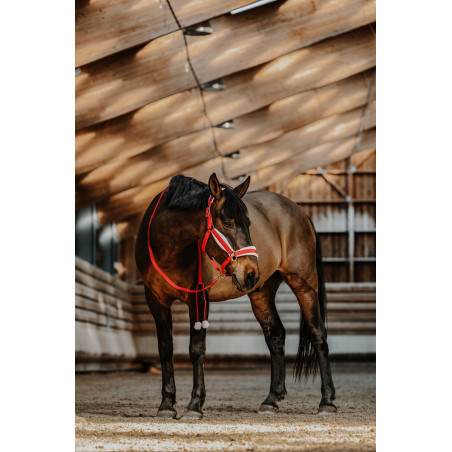 Halster + touw Equithème Xmas