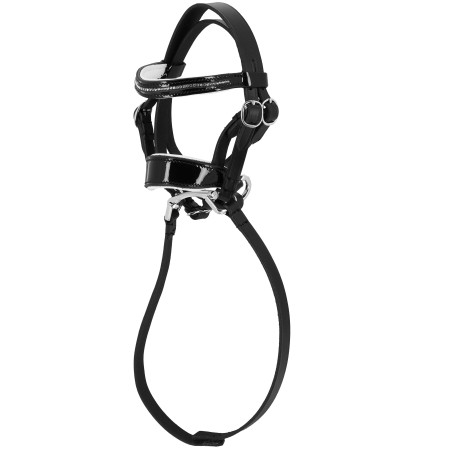 Mini-hoofdstel Pony Academy Strass