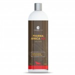 Pharma Arnica Hot 1000ml