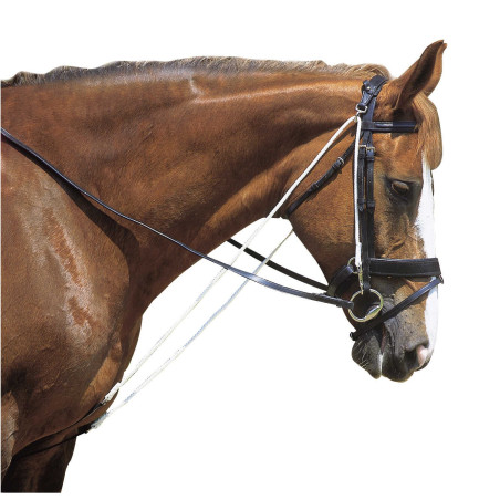 Chambon Excelsior met katrollen