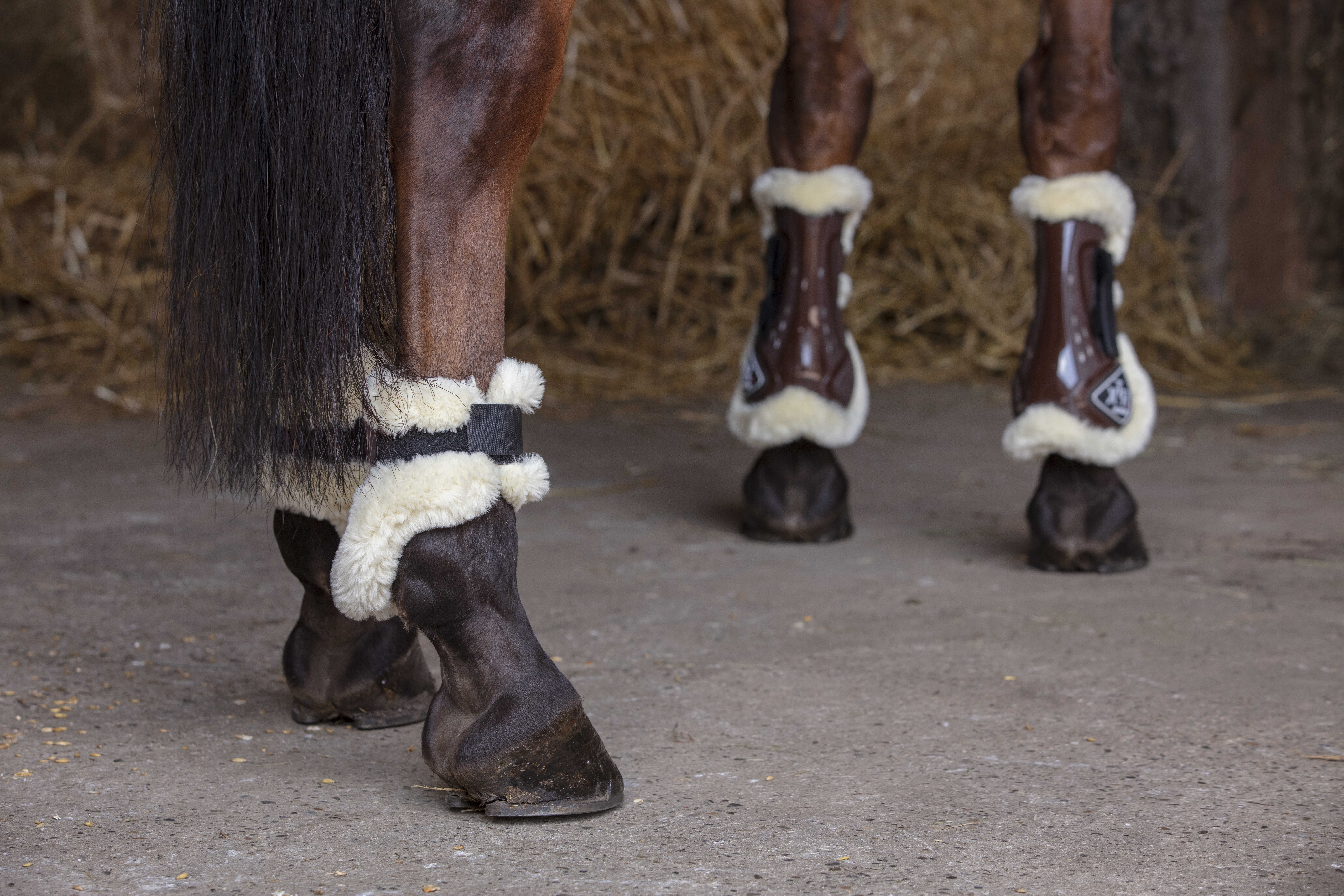 Kogelbeschermers Norton XTR synthetisch schapenvacht Bruin