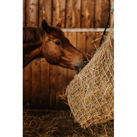 Hooinet HIPPOTONIC - Natuurkleur