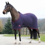 Weatherbeeta Waffle Cooler Shirt