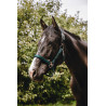 Nylon halster Equithème Protector - Groen