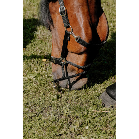 Norton Educatief Halster