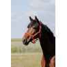 Halster Riding World Cushion - Roest