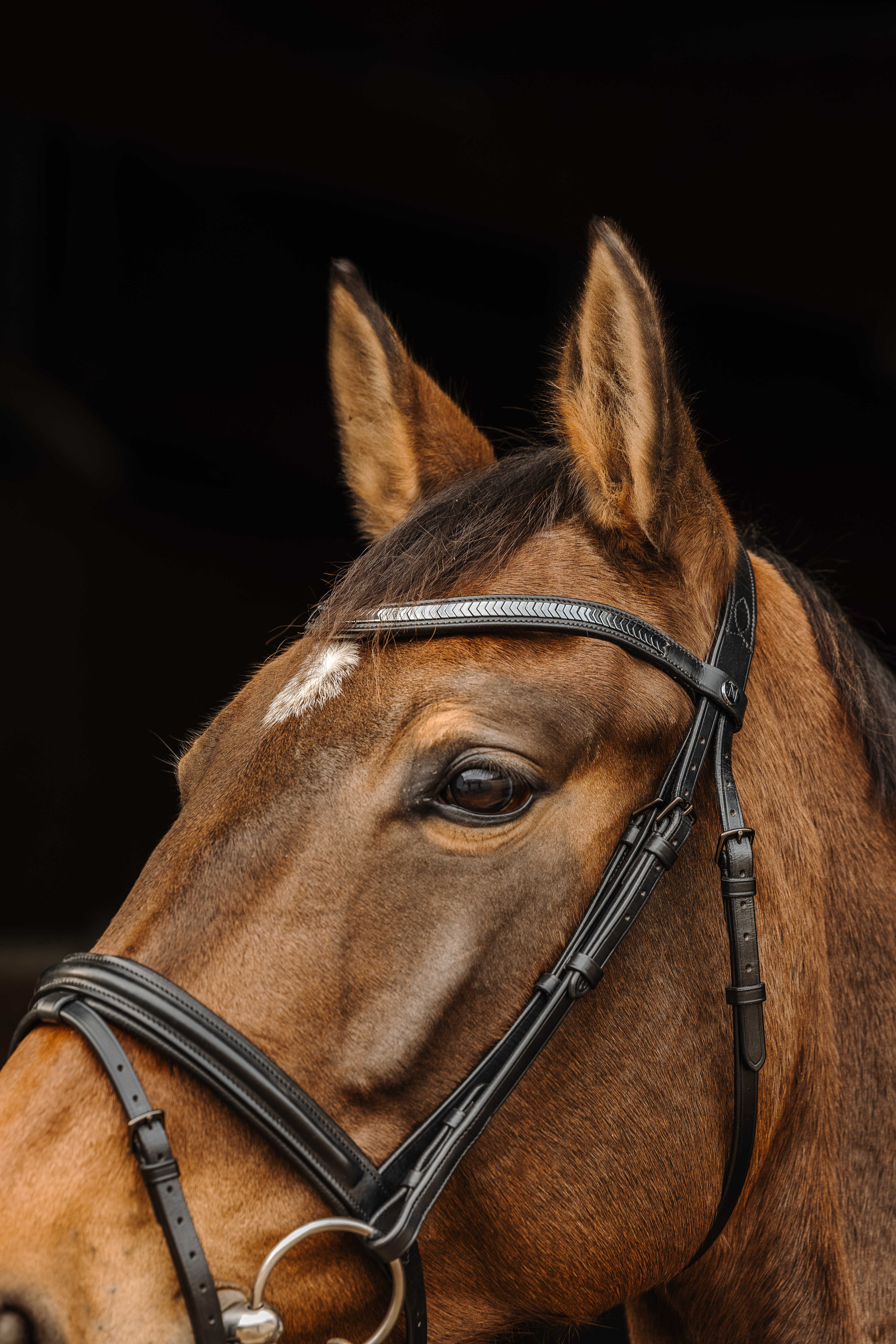 Bridon Norton Pro Galon Zwart