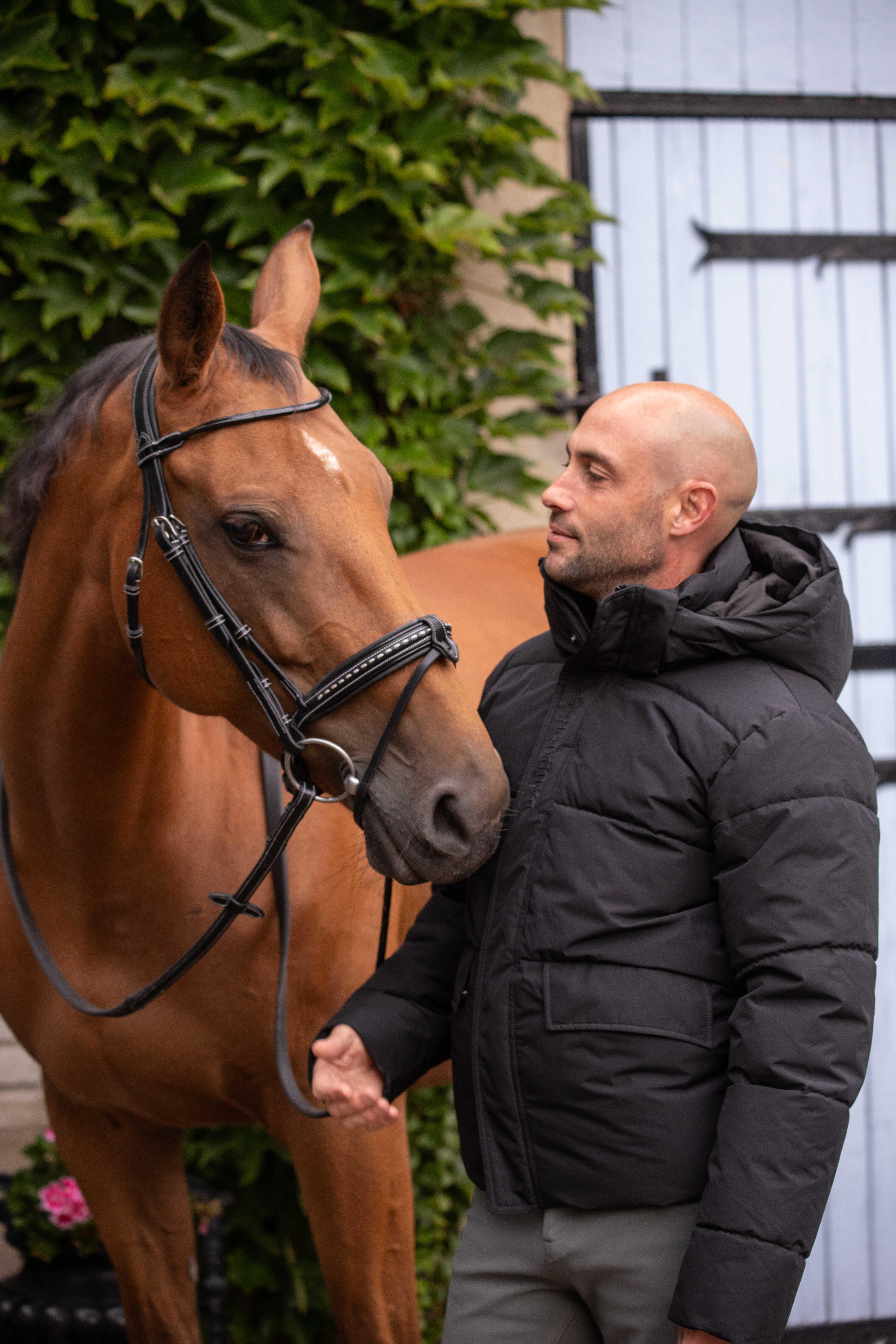 Donsjas Auteuil Paddock Sports Zwart