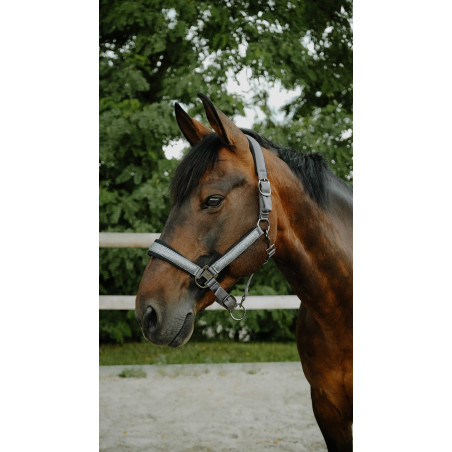 Halster Equithème Glowy