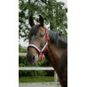 Halster Equithème Glowy - Roze / roze