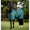 Horseware Amigo Ripstop 900D Turnout 100g deken - Groen dynastie / marine / zilver