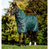 Amigo Ripstop Horseware 900D Plus Turnout 0g deken - Groen dynastie / marine / zilver