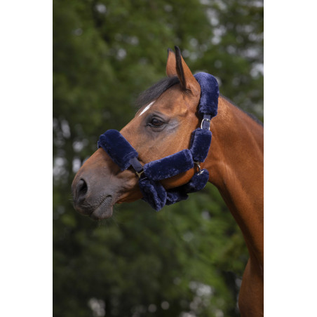 Set voor halster Equithème Teddy