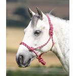Shires touwhalster