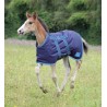 Veulen deken Tempest Shires - Marine / turquoise