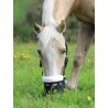 Deluxe Comfort Muilkorf Shires - Zwart