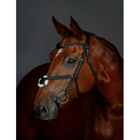 Collegiate ComFiTec Opulux hoofdstel met gevlochten sperriem, gevoerd