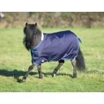 Miniatuurhoes Tempest Shires
