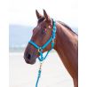 Topaz nylon halster Shires - Blauw