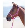 Topaz nylon halster Shires - Framboos