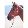 Topaz nylon halster Shires - Rood
