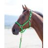 Topaz nylon halster Shires - Groen