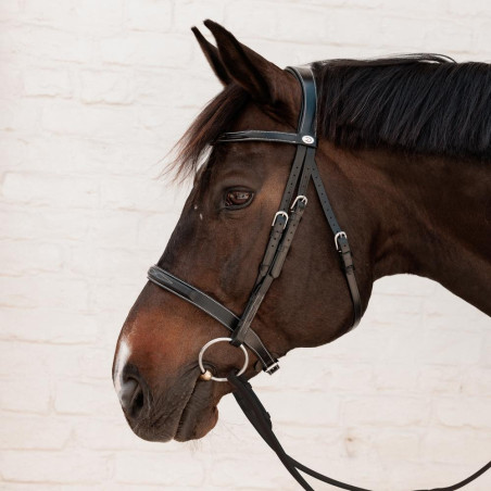 Hunter-hoofdstel Dy'on