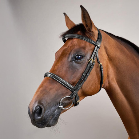 Dy'on hoofdstel met gevlochten neusriem zonder keelriem