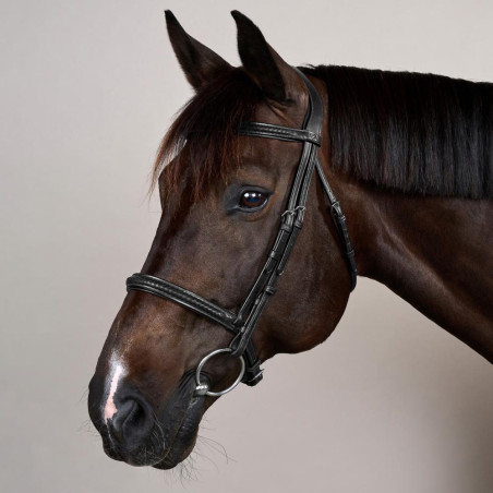 Dy'on New English hoofdstel met gevlochten neusriem zonder keelriem