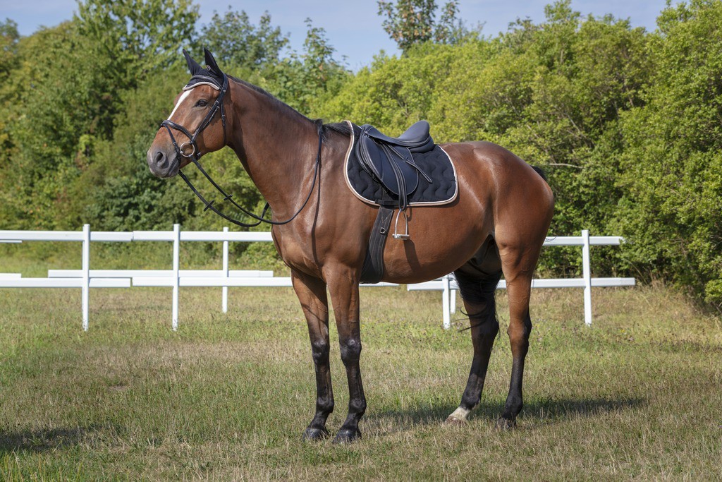 Vliegennetje Equithème Polyfun