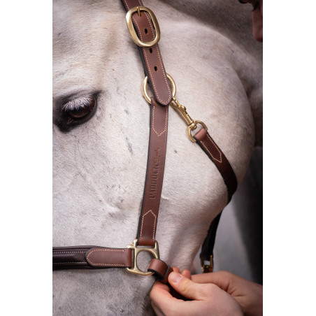 Leren halster met 3 musketons Paddock Sports