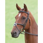 Bridon Brackley Salisbury Shires
