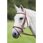 Hoofdstel met Mexicaanse neusriem Raised Flash Avignon Shires