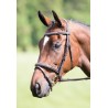 Hoofdstel met Mexicaanse neusriem Raised Flash Avignon Shires - Havana