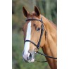 Frans hoofdstel neusriem Aviemore Shires - Havana