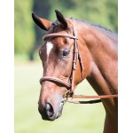 Franse cavesson neusriem Avignon Shires