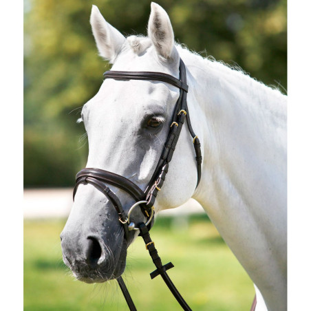 Tattini hoofdstel met gecombineerde verhoogde neusriem