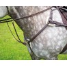 Borsttuig 5 punten Salisbury Shires - Havana