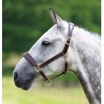 Leren halster Blenheim Shires