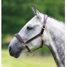 Leren halster Blenheim Shires - Havana