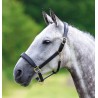 Leren halster Blenheim Shires - Zwart
