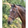 Hoofdstel met sierstiksels Fancy Blenheim Shires - Havana