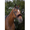 Neusriemhoes Equithème Teddy - Bruin