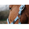 Nylon Halster Spring Equithème - Turkoois