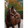 Nylon Halster Spring Equithème - Lichtroze