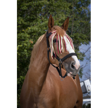 Frontale vliegenbeschermer Norton