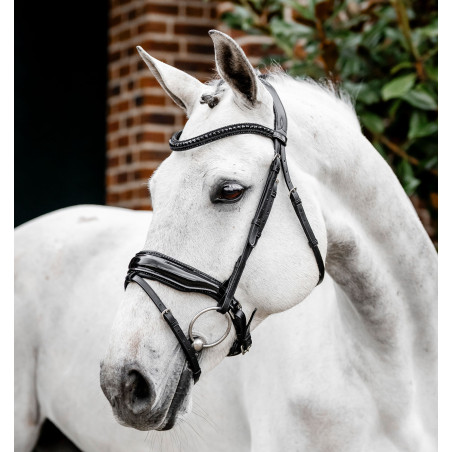 Hoofdstel Horseware Diamante Flash