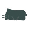 Imperial Riding paddockdeken Basic zonder halsdeken 300 g - Groen