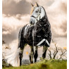 Horseware Rhino Turnout Pony deken bundel met liner 0 g en 200 g - Zwarte ruit / zwart & wit